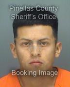 David Cruz Pena Info, Photos, Data, and More About David Cruz Pena / David Cruz Pena Tampa Area