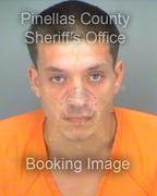 Matthew Dannemiller Info, Photos, Data, and More About Matthew Dannemiller / Matthew Dannemiller Tampa Area