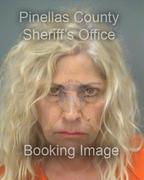 Lisa Feinberg Info, Photos, Data, and More About Lisa Feinberg / Lisa Feinberg Tampa Area