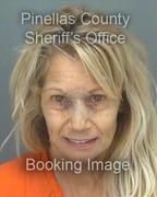 Donna Armato Info, Photos, Data, and More About Donna Armato / Donna Armato Tampa Area