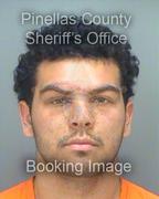 Christian Odonnell Info, Photos, Data, and More About Christian Odonnell / Christian Odonnell Tampa Area