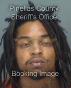 Leo Williams-Mcneill Info, Photos, Data, and More About Leo Williams-Mcneill / Leo Williams-Mcneill Tampa Area