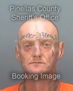 James Snyder Info, Photos, Data, and More About James Snyder / James Snyder Tampa Area