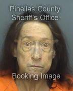 Lisa Fava Info, Photos, Data, and More About Lisa Fava / Lisa Fava Tampa Area