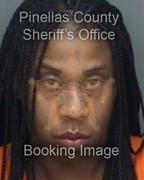 Darice Mack Info, Photos, Data, and More About Darice Mack / Darice Mack Tampa Area