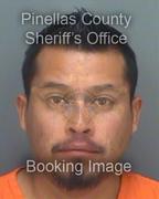Rene Patricio-Soto Info, Photos, Data, and More About Rene Patricio-Soto / Rene Patricio-Soto Tampa Area