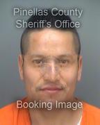 Marcos Pitasauatierra Info, Photos, Data, and More About Marcos Pitasauatierra / Marcos Pitasauatierra Tampa Area