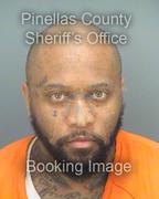 Nicholas Rogers Info, Photos, Data, and More About Nicholas Rogers / Nicholas Rogers Tampa Area