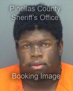 David Brown Info, Photos, Data, and More About David Brown / David Brown Tampa Area