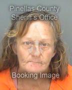 Nancy Hipchen Info, Photos, Data, and More About Nancy Hipchen / Nancy Hipchen Tampa Area
