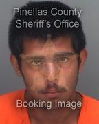 Ross Gricius Info, Photos, Data, and More About Ross Gricius / Ross Gricius Tampa Area