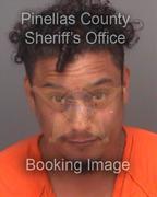 Pedro Canela Info, Photos, Data, and More About Pedro Canela / Pedro Canela Tampa Area