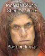 Debra Champagne Info, Photos, Data, and More About Debra Champagne / Debra Champagne Tampa Area