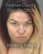 Shelly Hase Info, Photos, Data, and More About Shelly Hase / Shelly Hase Tampa Area