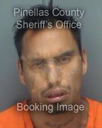 Aaron Alberson Info, Photos, Data, and More About Aaron Alberson / Aaron Alberson Tampa Area