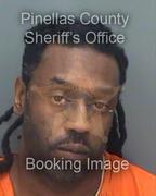 Tracy Bell Info, Photos, Data, and More About Tracy Bell / Tracy Bell Tampa Area