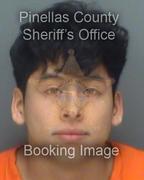 Ariel Garcia Info, Photos, Data, and More About Ariel Garcia / Ariel Garcia Tampa Area