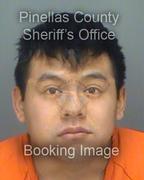 Edi Hernandez Info, Photos, Data, and More About Edi Hernandez / Edi Hernandez Tampa Area