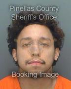 Nicholas Colon Info, Photos, Data, and More About Nicholas Colon / Nicholas Colon Tampa Area