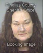 Andrea Cummins Info, Photos, Data, and More About Andrea Cummins / Andrea Cummins Tampa Area