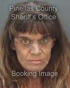 Pamela Acosta Info, Photos, Data, and More About Pamela Acosta / Pamela Acosta Tampa Area