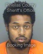 Rechazz Belle Info, Photos, Data, and More About Rechazz Belle / Rechazz Belle Tampa Area