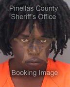 Derrick Fields Info, Photos, Data, and More About Derrick Fields / Derrick Fields Tampa Area