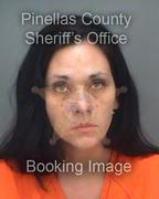 Shannon Feist Info, Photos, Data, and More About Shannon Feist / Shannon Feist Tampa Area