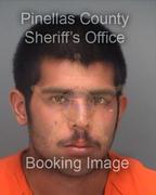 Ross Gricius Info, Photos, Data, and More About Ross Gricius / Ross Gricius Tampa Area
