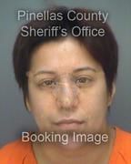 Ariel Falvo-Perez Info, Photos, Data, and More About Ariel Falvo-Perez / Ariel Falvo-Perez Tampa Area