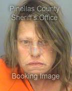 Debra Lesko Info, Photos, Data, and More About Debra Lesko / Debra Lesko Tampa Area