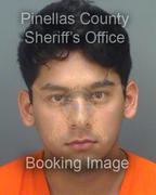 Alex Hutchinson Info, Photos, Data, and More About Alex Hutchinson / Alex Hutchinson Tampa Area