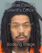 Robert Henderson Info, Photos, Data, and More About Robert Henderson / Robert Henderson Tampa Area