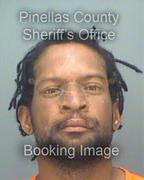 David Young Info, Photos, Data, and More About David Young / David Young Tampa Area