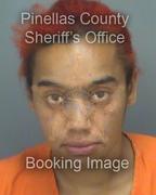 Ariel Hodges Info, Photos, Data, and More About Ariel Hodges / Ariel Hodges Tampa Area