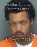 Shondell Leeper Info, Photos, Data, and More About Shondell Leeper / Shondell Leeper Tampa Area