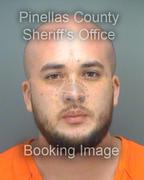 Taylor Ibarra Info, Photos, Data, and More About Taylor Ibarra / Taylor Ibarra Tampa Area