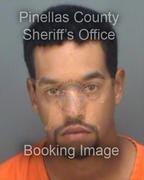 Michael Goggins Info, Photos, Data, and More About Michael Goggins / Michael Goggins Tampa Area