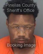Michael Gulley Info, Photos, Data, and More About Michael Gulley / Michael Gulley Tampa Area