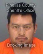 Sullivan Mendez Info, Photos, Data, and More About Sullivan Mendez / Sullivan Mendez Tampa Area