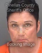 Susan Sheehan Info, Photos, Data, and More About Susan Sheehan / Susan Sheehan Tampa Area