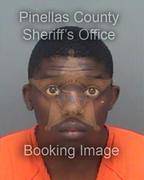 Quantiz Flowers Info, Photos, Data, and More About Quantiz Flowers / Quantiz Flowers Tampa Area