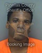 Grant Farley Info, Photos, Data, and More About Grant Farley / Grant Farley Tampa Area