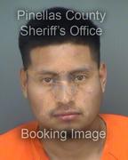 Rovin Alvaradomorales Info, Photos, Data, and More About Rovin Alvaradomorales / Rovin Alvaradomorales Tampa Area
