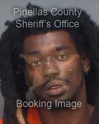 Nathan Smith Info, Photos, Data, and More About Nathan Smith / Nathan Smith Tampa Area
