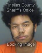 Miles Young Info, Photos, Data, and More About Miles Young / Miles Young Tampa Area