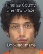 Gavin Palmer Info, Photos, Data, and More About Gavin Palmer / Gavin Palmer Tampa Area