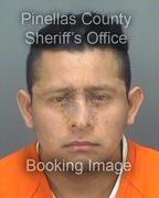 Pablo Benitezarroyo Info, Photos, Data, and More About Pablo Benitezarroyo / Pablo Benitezarroyo Tampa Area