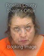 Sandra Faunce Info, Photos, Data, and More About Sandra Faunce / Sandra Faunce Tampa Area