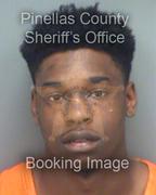 Javin Bradford Info, Photos, Data, and More About Javin Bradford / Javin Bradford Tampa Area